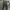 Dickies Streetwear Skater Formal pants Pria gray photo 1