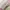 Barbie Vintage Toy Kids Multicolor