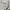 Visvim Y2K Casual Casual shirt Pria white black photo 3