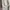 Uniqlo Streetwear Y2K Jeans Pria white photo 8