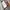 Avirex Streetwear Bomber jacket Pria white black photo 6