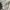 Vintage Streetwear Casual shirt Pria white gray photo 2