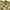 Uniqlo Casual Casual Shirt Pria Khaki