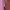 Y2K Coquette Shoulder bag Wanita pink photo 3