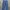 Dickies Casual Casual pants Pria navy photo 2