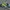 Adidas Casual Sneakers Wanita green photo 1