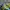 Adidas Casual Sneakers Wanita green photo 2