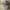 Stone Island Streetwear Luxury Hat Pria gray photo 1