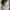 Stone Island Streetwear Luxury Hat Pria gray photo 3