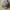 Stone Island Streetwear Luxury Hat Pria gray photo 2