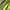 Y-3 Luxury Sportswear Hat Pria green cream photo 4