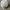 Y-3 Luxury Sportswear Hat Pria Green Cream