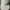 Y-3 Luxury Sportswear Hat Pria green cream photo 1