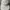 Y-3 Luxury Sportswear Hat Pria Green Cream