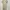 Fairy Summer dress Wanita cream yellow photo 2