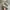 Clarks Casual Boots Pria tan photo 1