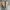 Clarks Casual Boots Pria tan photo 4