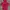 Adidas Casual Hoody Pria red photo 1