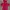 Adidas Casual Hoody Pria Red