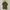 Topten Casual Polo shirt Pria green photo 2