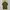 Topten Casual Polo Shirt Pria Green