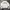 Carhartt Vintage Streetwear Sweatshirt Pria gray photo 2