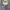 Abercrombie & Fitch Streetwear Futurist Hoody Pria gray photo 3