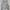 Abercrombie & Fitch Streetwear Futurist Hoody Pria gray photo 1