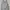 Abercrombie & Fitch Streetwear Futurist Hoody Pria Gray