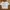Pull & Bear Coquette T-shirt Wanita white photo 1