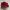 Puma Streetwear Sportswear Casual shoe Pria red photo 1