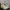 Nike Streetwear Sportswear Sneakers Pria silver cream photo 1