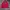 Feltics Luxury Sweater Pria multicolor red photo 2