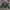 Dickies Skater Sweater Pria green photo 4