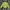 Vivastudio Streetwear Sweater Pria green photo 3