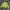 Vivastudio Streetwear Sweater Pria green photo 1