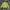 Vivastudio Streetwear Sweater Pria Green
