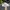 Adidas Sportswear Casual Casual shoe Pria white tan photo 1