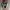 VANS Skater Casual Sneakers Pria white black photo 4