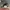 Nike Streetwear Luxury Sneakers Pria multicolor photo 2