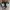 Nike Streetwear Luxury Sneakers Pria multicolor photo 5