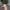 Nike Streetwear Luxury Sneakers Pria multicolor photo 1