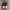 Nike Streetwear Luxury Sneakers Pria multicolor photo 3