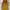 Louis Vuitton Luxury Shoulder bag Wanita yellow photo 2