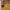 Louis Vuitton Luxury Shoulder bag Wanita yellow photo 5