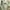 ZARA Minimalist Casual Shirt Wanita green photo 4