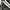 Kappa Vintage Casual Track jacket Pria white black photo 1