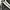 Kappa Vintage Casual Track Jacket Pria White Black