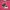 Pancoat Y2K Hoody Pria pink photo 3