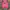 Pancoat Y2K Hoody Pria pink photo 1